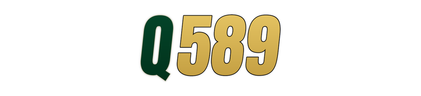 q589 Logo
